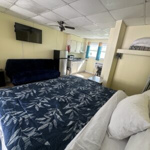 Luxe Room